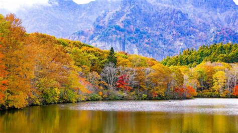 Download Wallpaper 2048x1152 Japan Togakushi Lake Mountains Trees