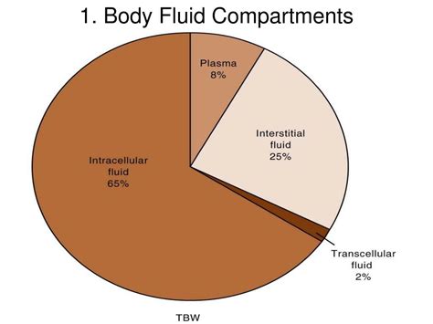Ppt 1 Body Fluid Compartments Powerpoint Presentation Free Download