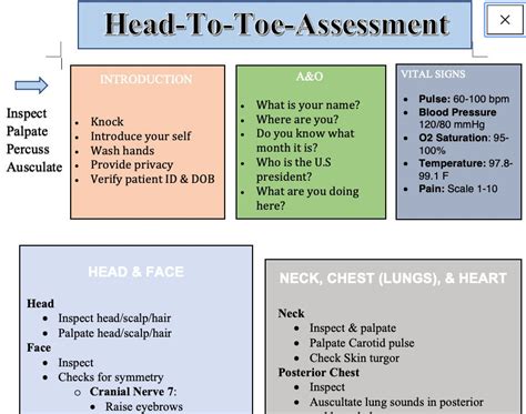 Head To Toe Assessment Guide Nursing Students Health Etsy Nursing