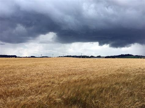 Storm Clouds Over Wheat Fields Stock Image Image Of Summer Rain