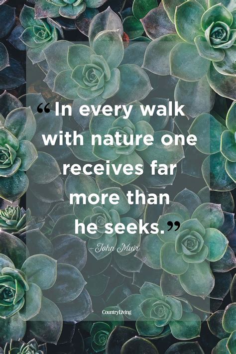 Take A Breath—these Nature Quotes Remind Us Of The Power Of The Great