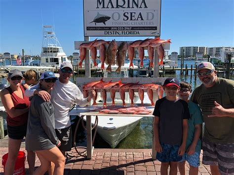 O Sea D Fishing Charters Destin 2020 All You Need To Know Before