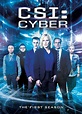 CSI: Cyber - Serie de TV - CINE.COM