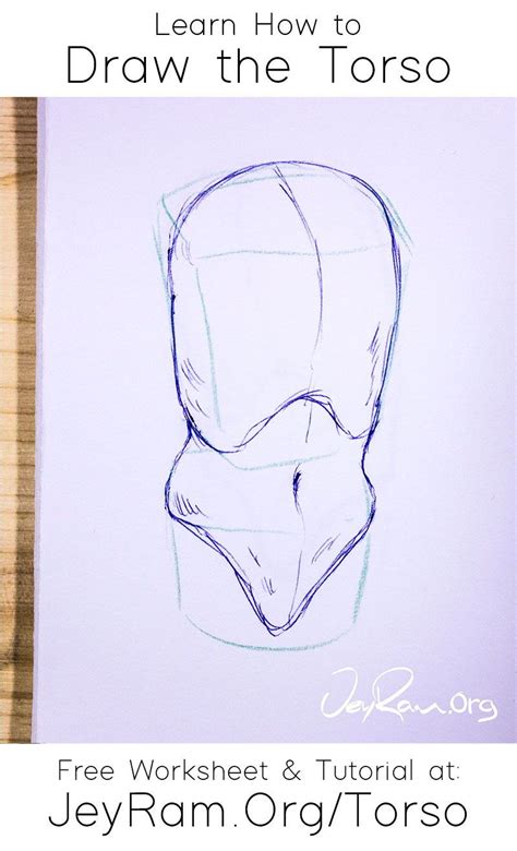 How To Draw The Torso Free Worksheet Tutorial Sketch Book Drawings