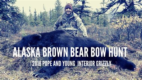 Brown Bear Hunting In Alaska Bow Hunt Pandy Grizzly Bear Youtube