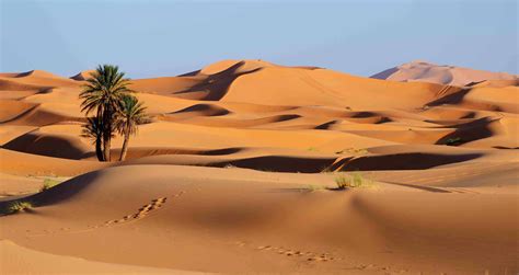 10 Facts About The Sahara Desert