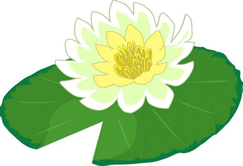 Lilly Pad Clipart 10 Free Cliparts Download Images On Clipground 2022
