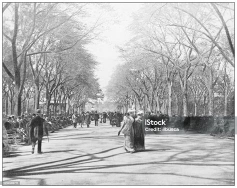 Ilustración De Fotografía Antigua Central Park Y Más Vectores Libres De