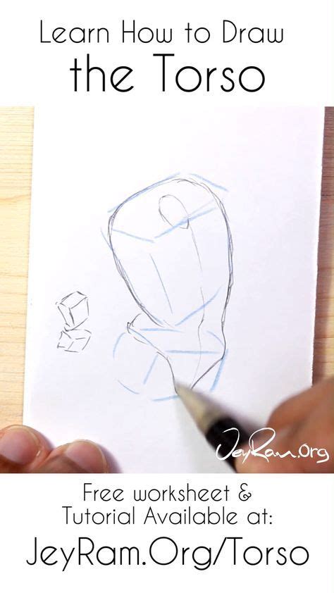 Learn How To Draw The Torso Of The Human Body Using The Worksheet And