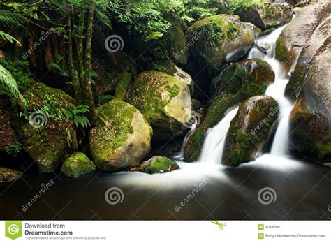 Rainforest Waterfall Stock Image 4058599