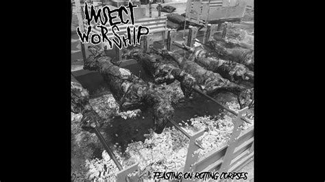 Insect Worship Feasting On Rotting Corpses Goregrind Youtube