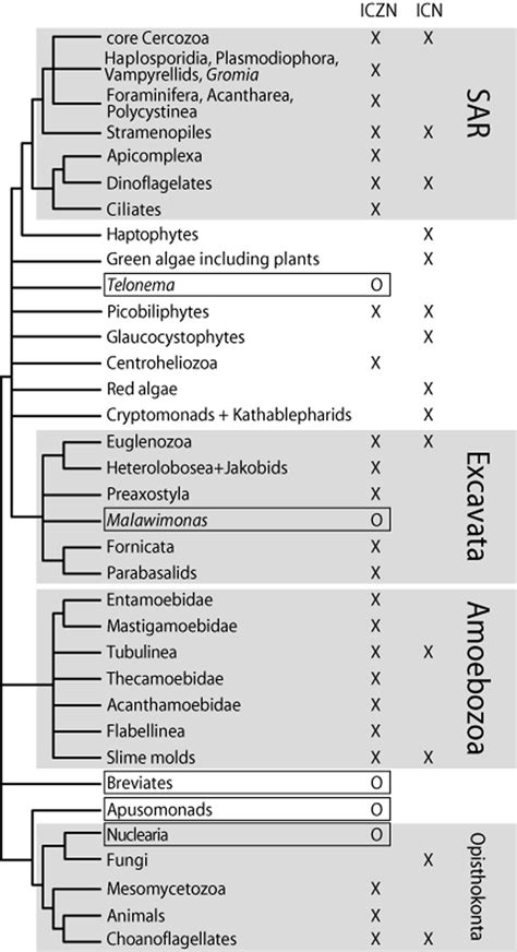 Time To Regulate Microbial Eukaryote Nomenclature Lahr 2012