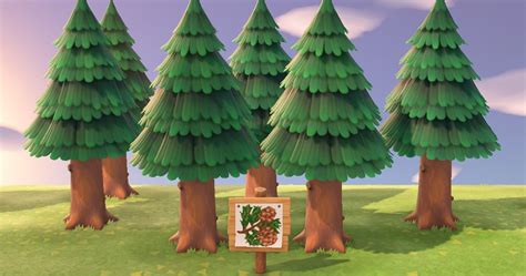 Animal Crossing New Horizons Where To Find Pine Cones And Acorns