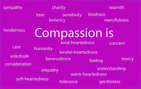 My Faith What Really Does Compassion Mean To Me Compassion Meaning