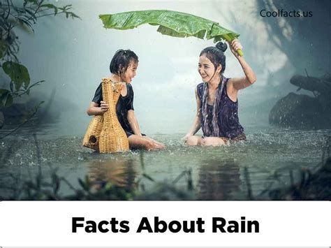 The Fascinating Facts About Rain Unveiling Natures Aqueous Symphony