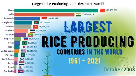 Largest Rice Producing Countries In The World 1961 2021 Top Rice
