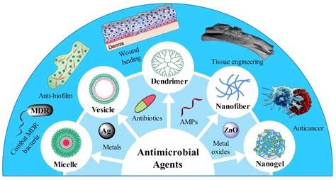 Pharmaceutics Free Full Text Polymeric Nanomaterials For Efficient