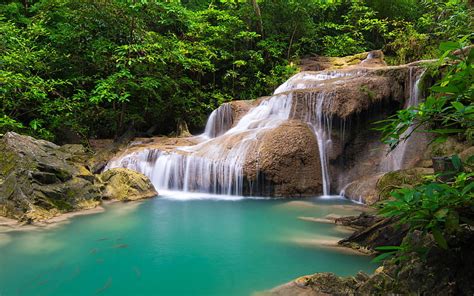 Waterfall Rainforest Thailand Jungle Blue Lake Koi Carps Goldfish