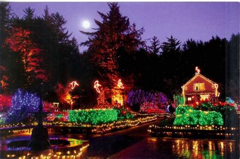 The Ultimate Oregon Coast Christmas Light Tour Is Happening Now That