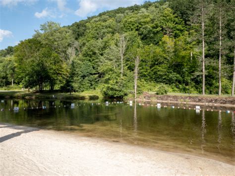 Camping In Ole Bull State Park Everything You Need To Know Uncovering Pa