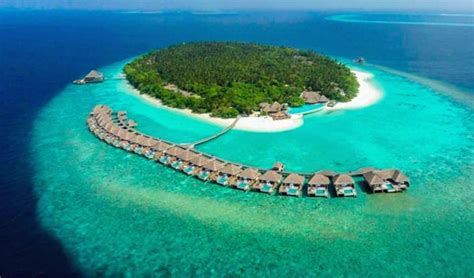Maldives Dusit Thani Maldives Up To 50 Discount Airline Staff Rates