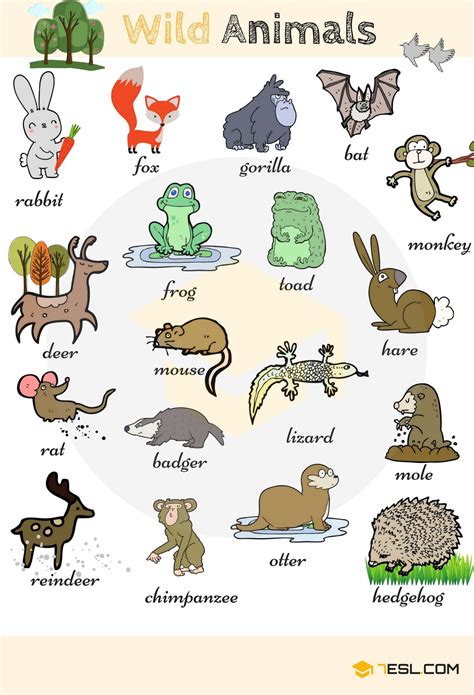 Animales Del Bosque Animal Vocabulary English Vocabulary Animals