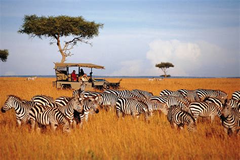 3 Days Amboseli Luxury Safari Classic Luxury Safari Package