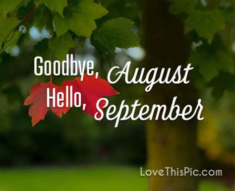 Fall Leaves Goodbye August Hello September Pictures Photos And