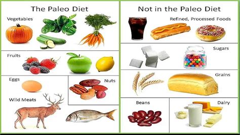 Before we dive into the enormous list of food that you can enjoy on a paleo diet, here are the basics of what you should avoid. Fighting Anorexia: Paleo Diet