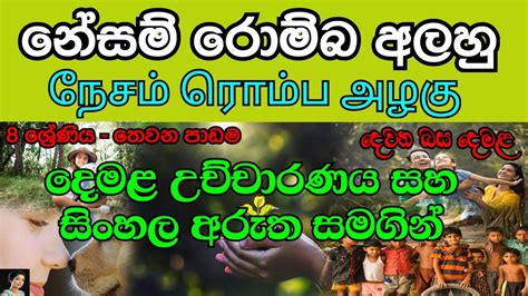 නේසම් රොම්බ අලහු Grade 8 Tamil 03 Lesson In Sinhala Media දෙවන බස