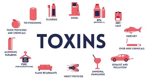 Understanding Toxins And Toxicity Look Feel Better Today