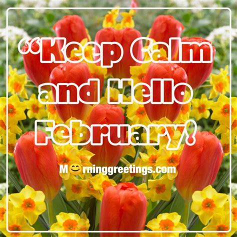 40 Happy February Morning Quotes Wishes Images Morning Greetings