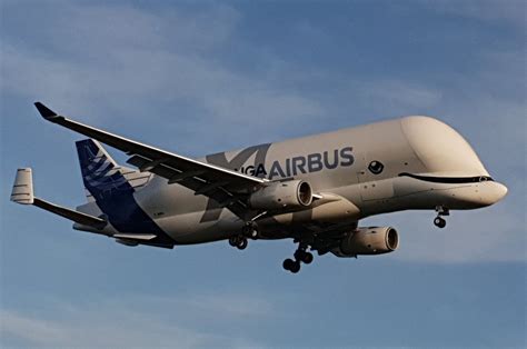 Gallery Beluga Xl Touching Down At Broughton Cheshire Live