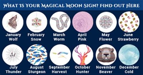 How Does Your Magical Moon Sign Affect Your Personality Moon Signs