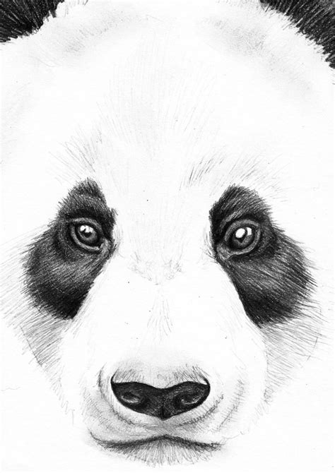 Panda Face Art Print By 13 Styx Society6