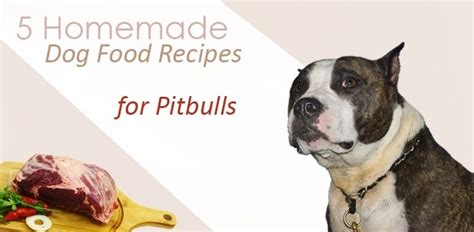 Homemade dog food recipes for pitbulls. 5 Homemade Dog Food Recipes for Pitbulls | Daily Dog Stuff