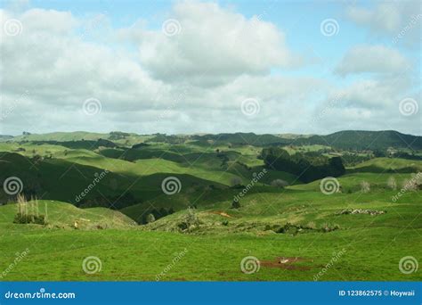 Scenic Rural Landscape Of Pastureland Rolling Hills And Trees On Sunny