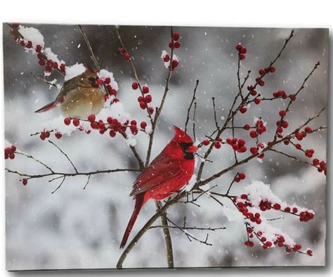 Winter Scene Cardinal Photograph Winter Scenes Canvas Prints Scene