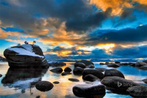 Download Bing Changing Wallpaper Bonsai Rock Lake Tahoe Wallpapertip