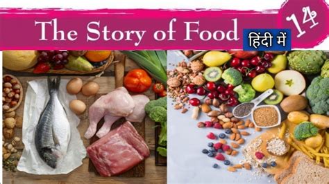 Worksheets are very critical for every student to practice his/ her concepts. THE STORY OF FOOD ( हिन्दी में )| Class 3 EVS Chapter 14 ...