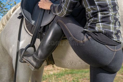 Mounting A Horse Stock Image Image Of Animal Field Jumping 2379745