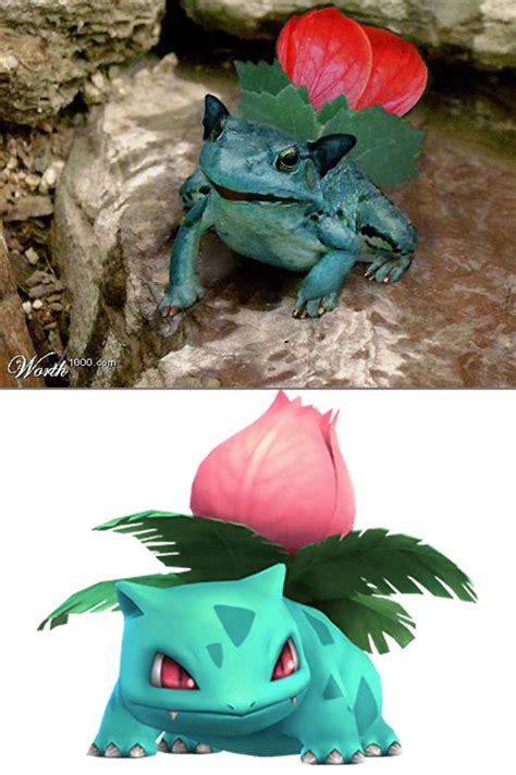 How 10 Pokemon Would Look In Real Life Techeblog