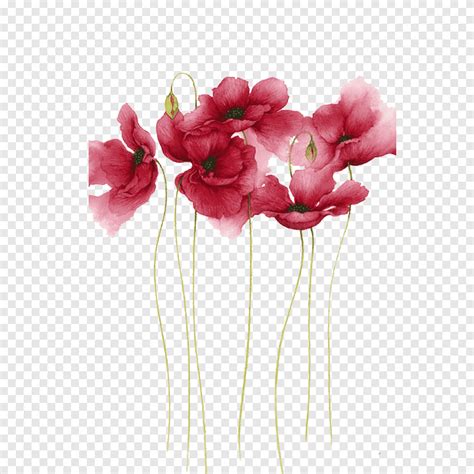Free Download Watercolor Painting Flower Drawing Art Watercolor