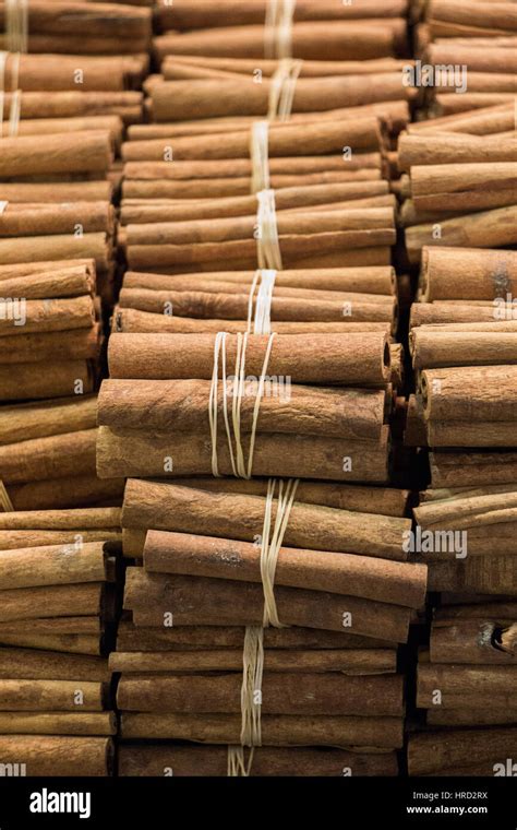 Bundles Of Cinnamon Sticks In Stock Stock Photo Alamy
