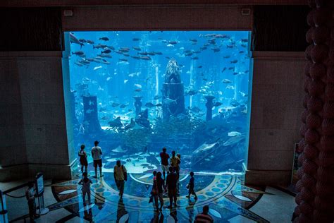 The Lost Chambers Aquarium Fantastic Aquarium At The Atlan Flickr