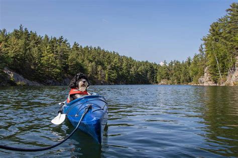 Go Kayaking On Lake Superior In Ontario Good Sam