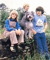 The Bagthorpe Saga Season 1 (1981), Watch Full Episodes Online on TVOnic