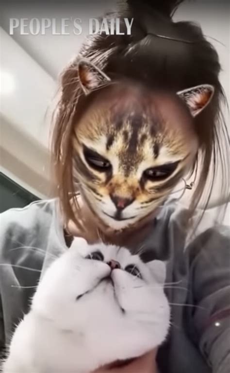 Snapchat Filters For Cats Cheapest Purchase Save 55 Jlcatjgobmx