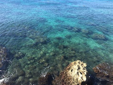 Snorkel gear, bikes, surf & paddle boards, body boards, beach chairs & more. Snorkel And Scuba Dive With Tropical Fish At Electric ...