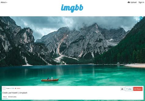 Learn How To Use Imgbb For Free Image Hosting